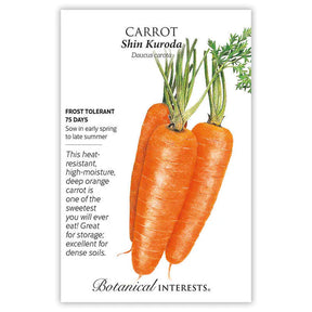 Carrot Shin Kuroda Seeds