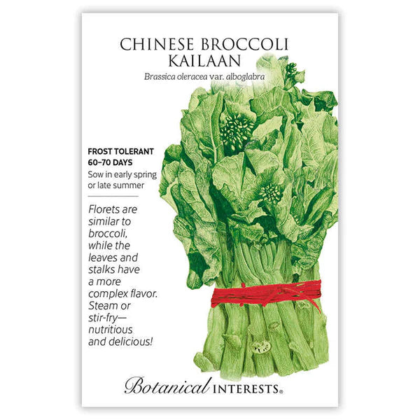 Broccoli Chinese Kailaan Seeds