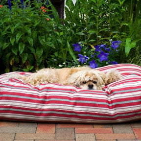 Carolina Pet - Solid Indoor/Outdoor Rectangle Dog Bed Striped