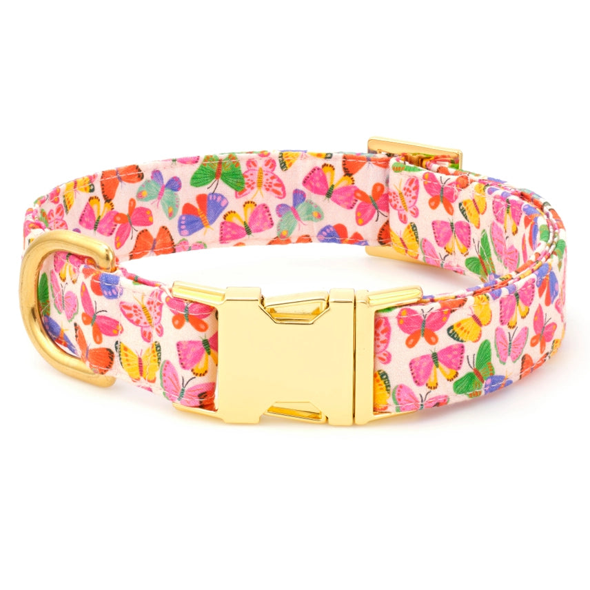 Dog Collar Bright Butterflies