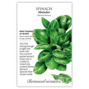 Spinach Matador Seeds