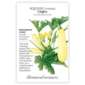 Chiffon Summer Squash Seeds