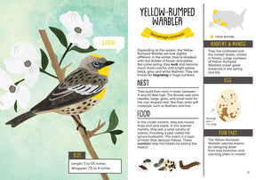 Kid's Guide to Backyard Birds