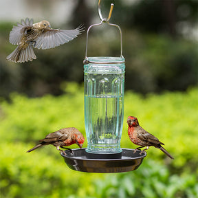 Kingsyard Glass Waterer Bird Feeder