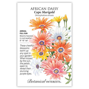 African Daisy Cape Marigold Seeds