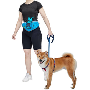 All-Purpose Multi-function Dog Walking Bag