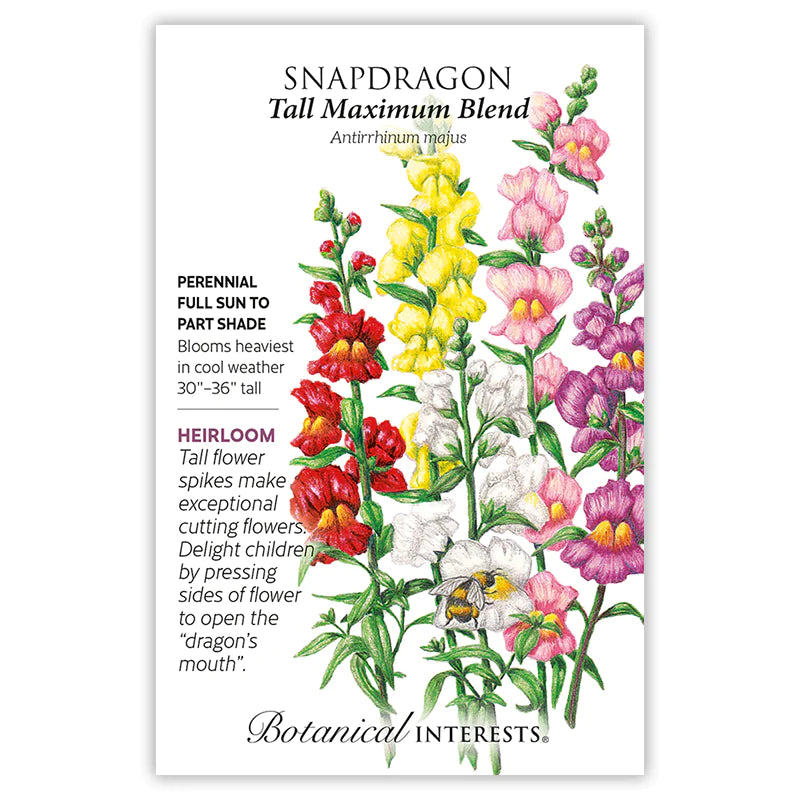 Snapdragon Tall Maximum Organic Seeds