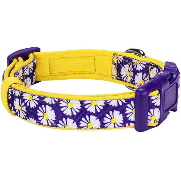 Daisy | Neoprene Padded Dog Collar