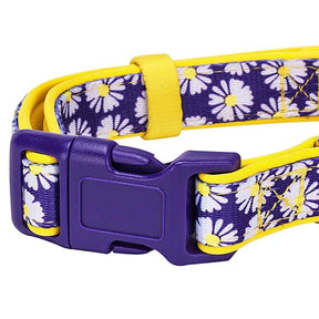 Daisy | Neoprene Padded Dog Collar