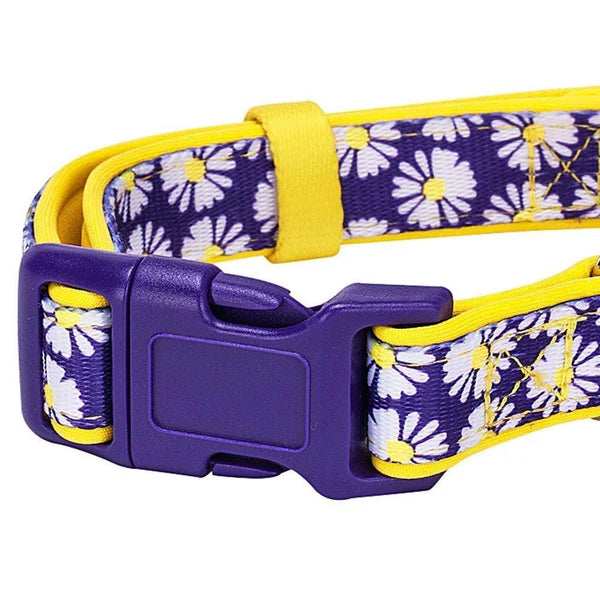 Daisy | Neoprene Padded Dog Collar