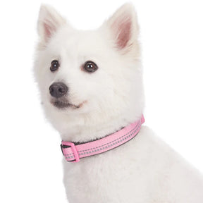 Baby Pink | 3M Reflective Padded Dog Collar