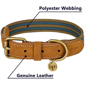 Navy & Olive | Full Grain Leather & Polyester Dog Collar