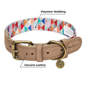 Triangles Shades of Rainbow | Full Grain Leather & Polyester Webbing Dog Collar