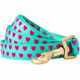 Minty Green | Dotted Velvet Heart Dog Leash