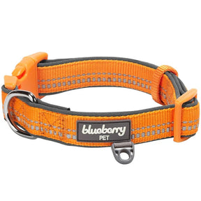 Orange Peel | 3M Reflective Neoprene Padded Dog Collar