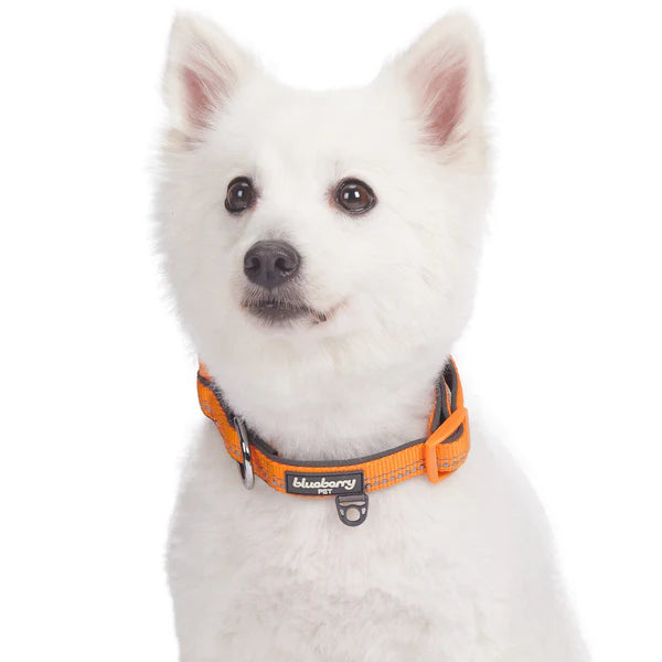 Orange Peel | 3M Reflective Neoprene Padded Dog Collar