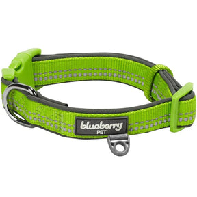 Green Flash | 3M Reflective Neoprene Padded Dog Collar