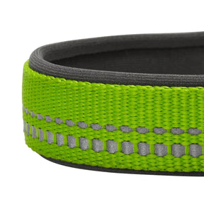 Green Flash | 3M Reflective Neoprene Padded Dog Collar