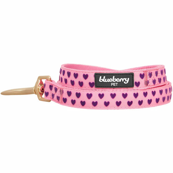 Pink Carnation | Dotted Velvet Heart Dog Leash