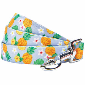 Nutritious Pineapple | Zesty Fruit Dog Leash