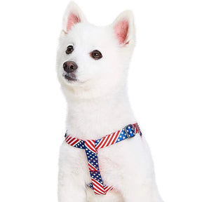 American Flag Dog Harness