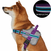 Violet and Celeste | Service K-9, 3M Reflective Dog Harness