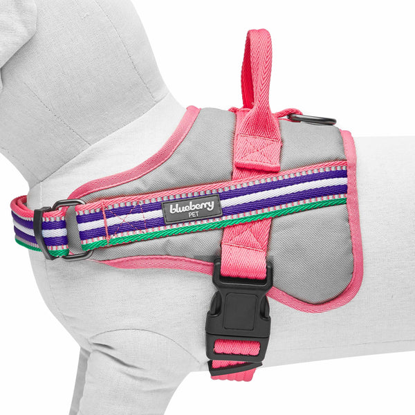 Pink, Emerald and Orchid | Service K-9, 3M Reflective Dog Harness