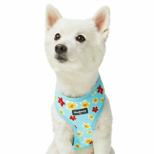 Celeste Blue | Tropical Yellow Plumeria Flower Dog Harness Vest