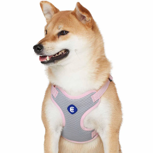 Candy Pink | Better Basics Reflective Dog Harness Vest