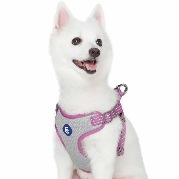 Mauve Orchid | Better Basics Reflective Dog Harness Vest