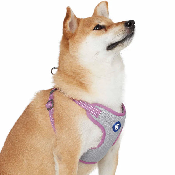 Mauve Orchid | Better Basics Reflective Dog Harness Vest