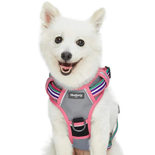 Pink, Emerald and Orchid | No Pull 3M Reflective Dog Harness Vest with Handle