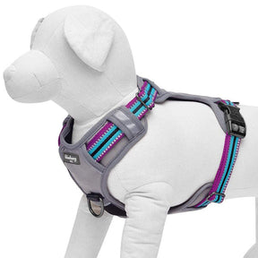 Violet and Celeste | No Pull 3M Reflective Dog Harness Vest with Handle