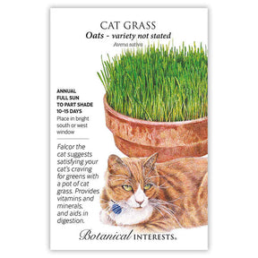 Cat Grass Seeds