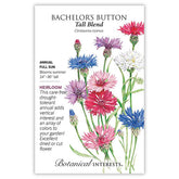 Bachelor Button Tall Blend Seeds