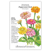 Zinnia Peppermint Stick Seeds