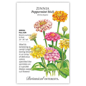 Zinnia Peppermint Stick Seeds