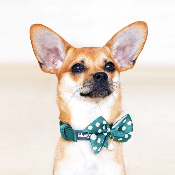 Green | The Most Coveted Dog Collar with Bowtie & Pearl