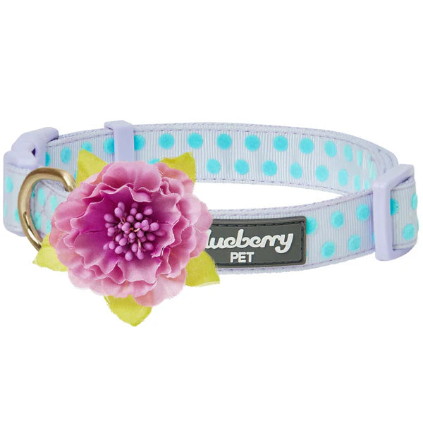 Pastel Purple | Soft Touch Dotted Velvet Dog Collar