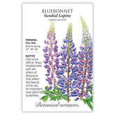 Bluebonnet Sundial Lupine Seeds