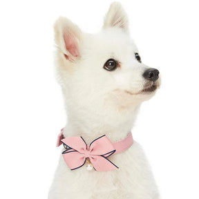 Pink | The Most Coveted Dog Collar with Bowtie & Pearl