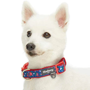 Navy | Floral Prints Neoprene Padded Dog Collar