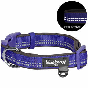 Violet | 3M Reflective Padded Dog Collar