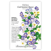 Viola Cool Summer Breeze Seeds