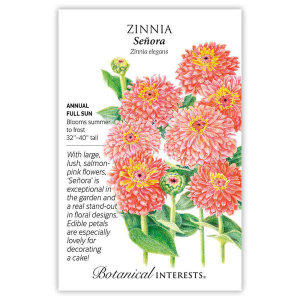 Zinnia Senora Seeds