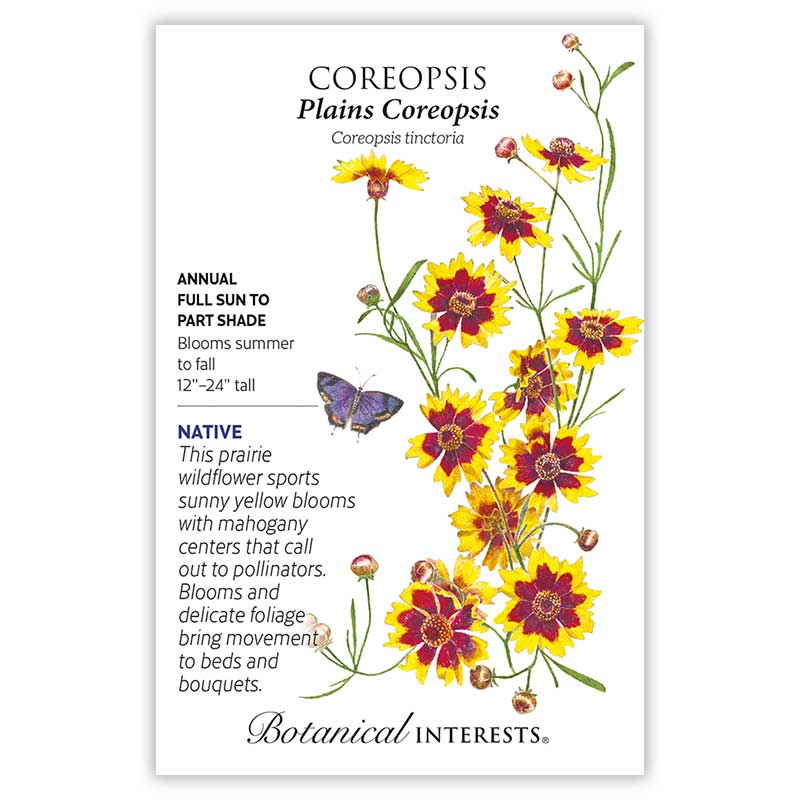 Coreopsis Plains Coreopsis Seeds