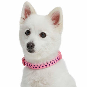 Pink Carnation | Dotted Velvet Heart Dog Collar