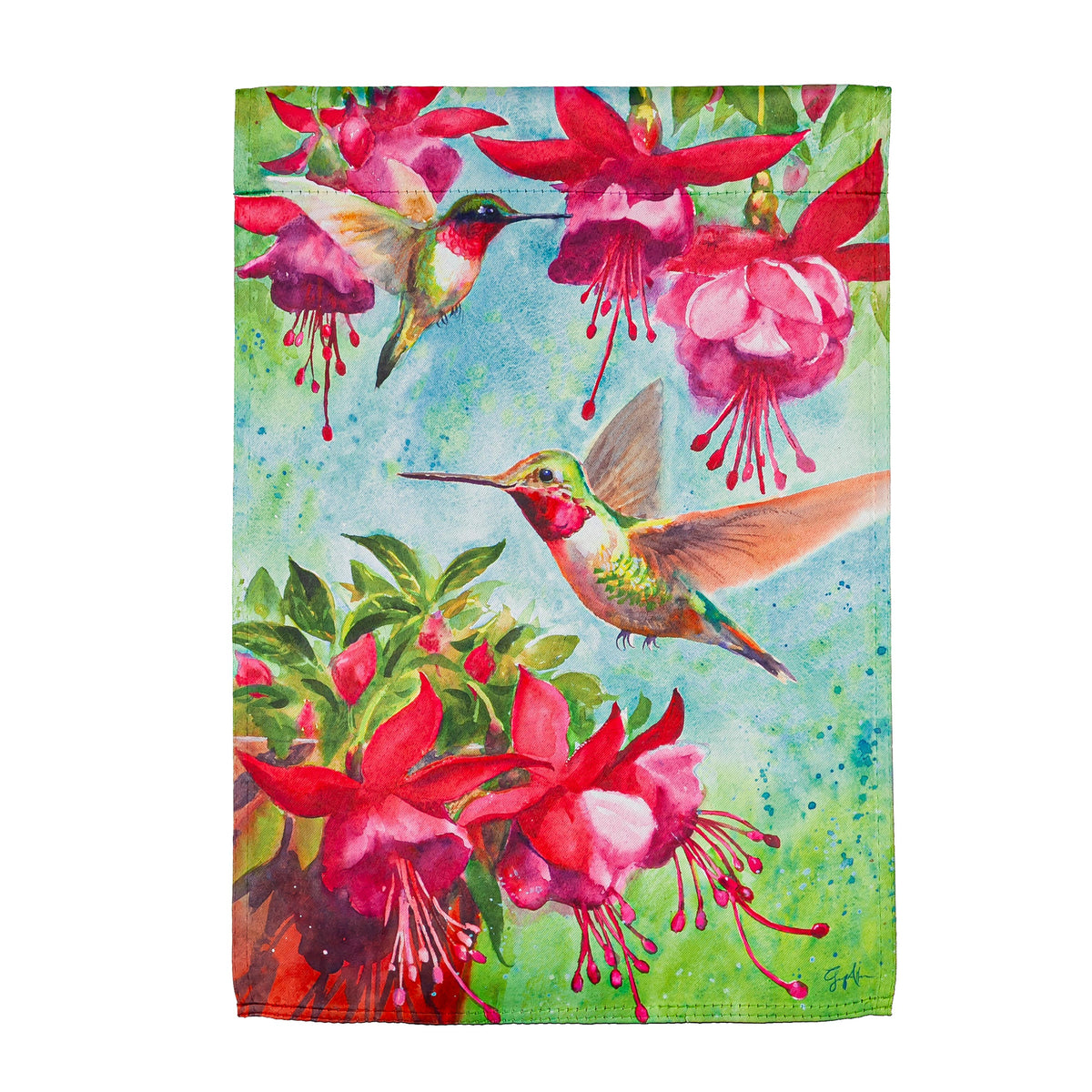 Flag Fuchsia Hummingbird