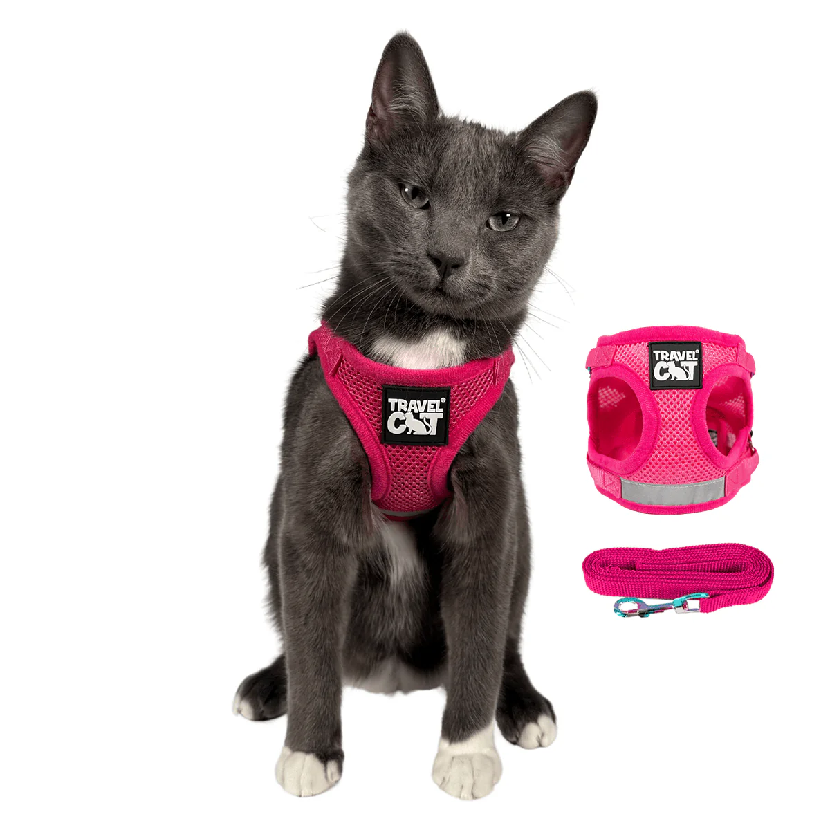 Harness & Leash Set - "The Purrfectly Pink"