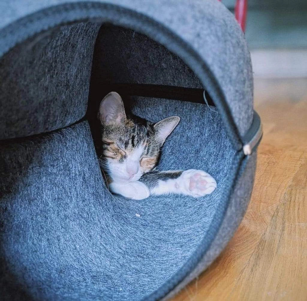 "Donut" Cat Hideway Cave & Bed